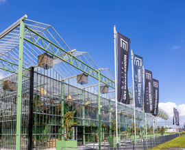 Evenementenkas: de unieke eventlocatie voor een sfeervol evenement