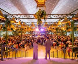 Mobile grandstands and tallest greenhouse steal the show in renovated Midden Nederland Hallen